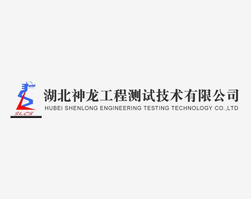 神龍工程測試打造全新高端官網平臺