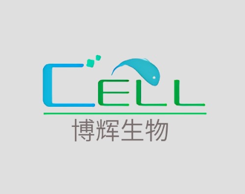 博輝生物打造高端響應式官網
